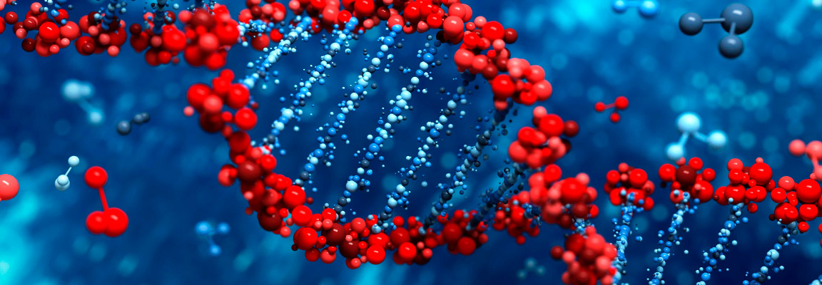 Differences between genotyping and sequencing