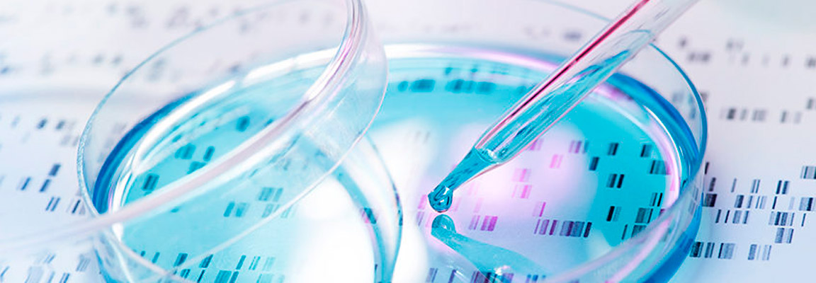 genotyping and sequencing DNA