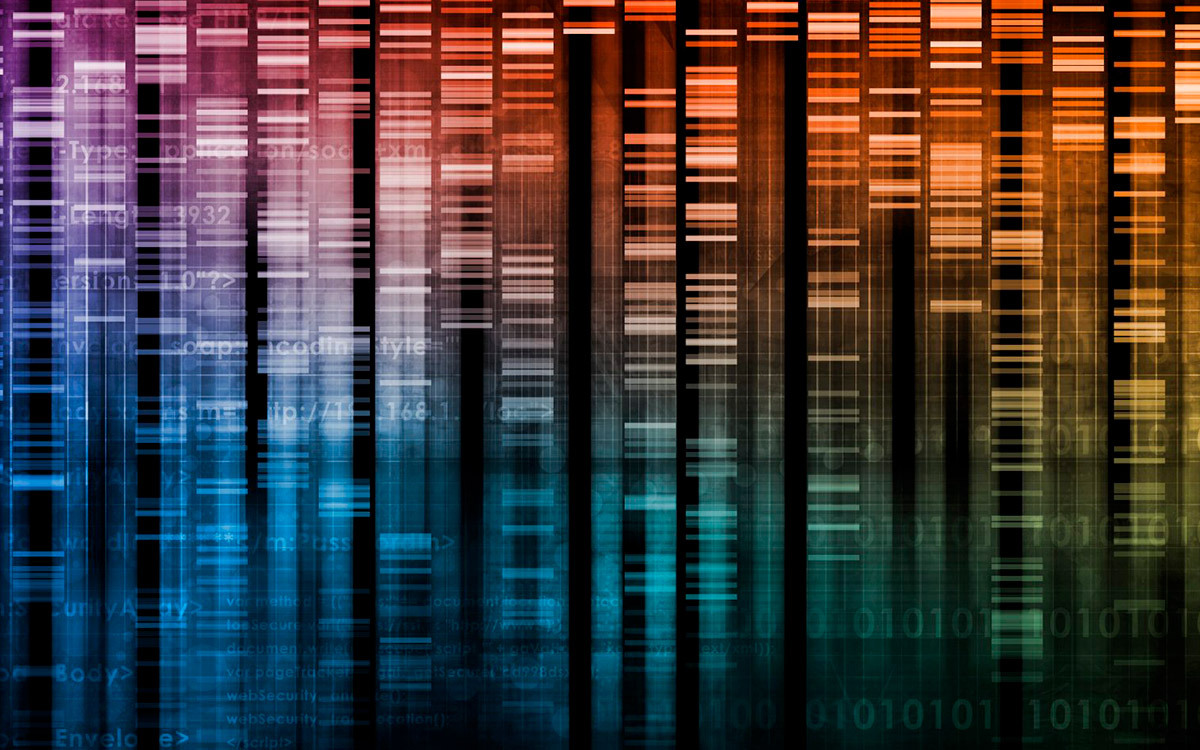Was ist eine genetische Rohdaten-Datei und wofür wird sie verwendet?
