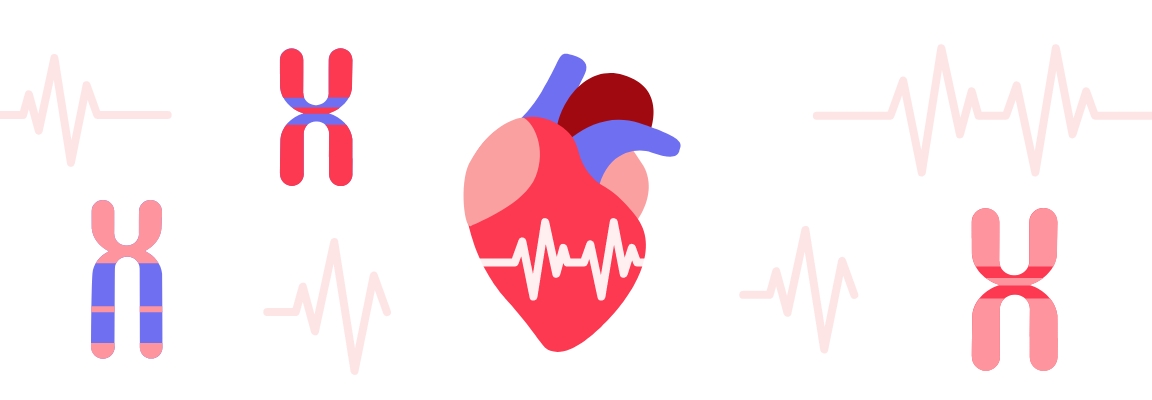 Irregular heart, congenital heart disease