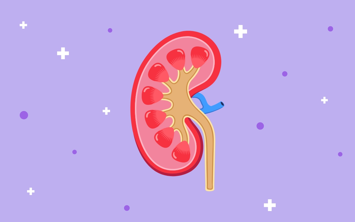kidney diseases and genetics