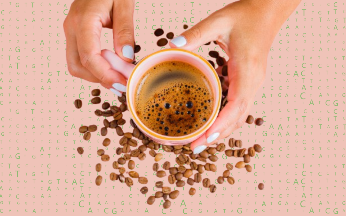 caffeina genetica